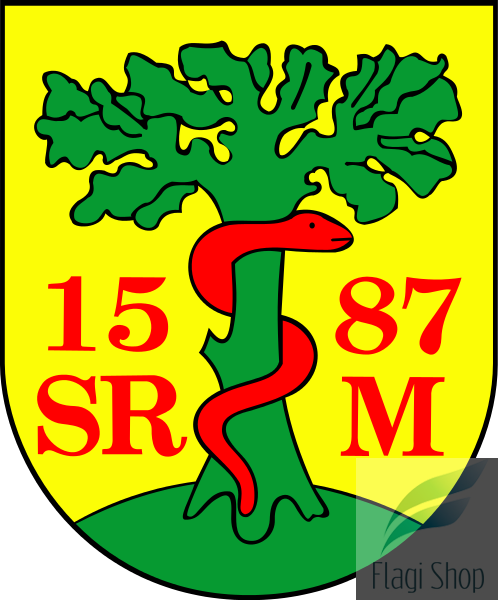 POL_gmina_Dubienka_COA.svg.png