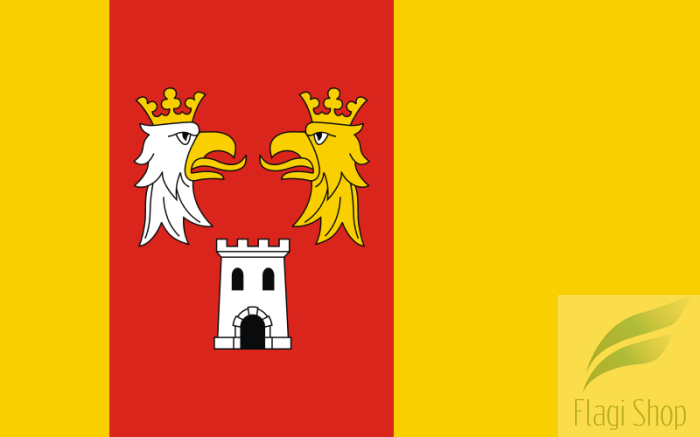 POL_powiat_myszkowski_flag.svg.png