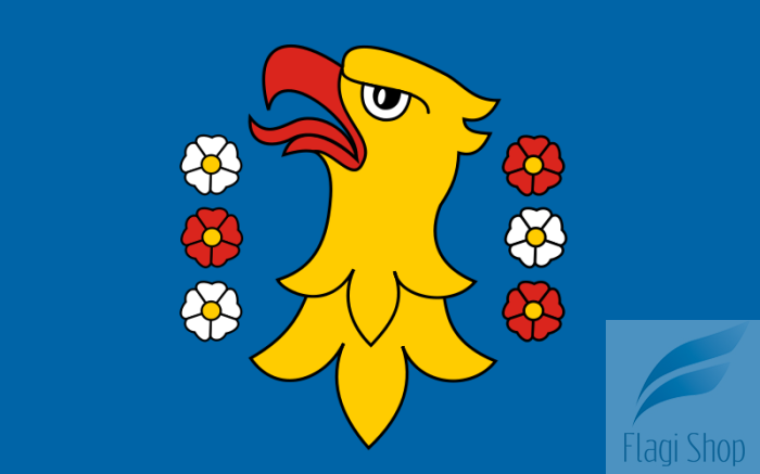 800px-POL_powiat_pszczyński_flag.svg.png
