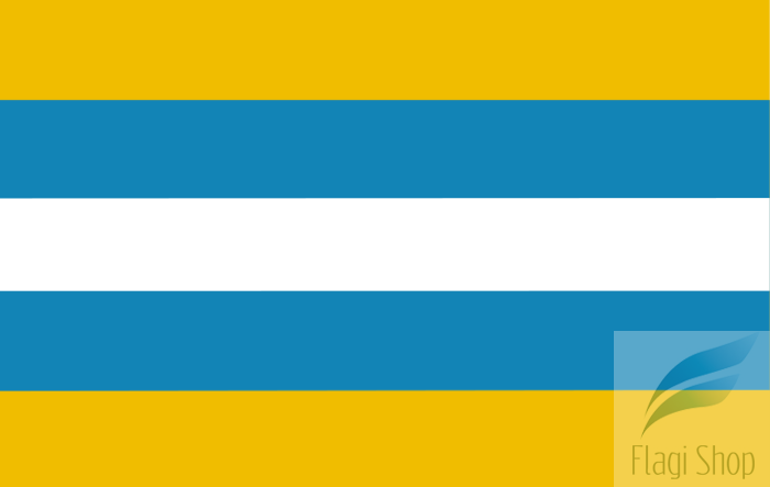 800px-POL_powiat_wodzisławski_flag.svg.png