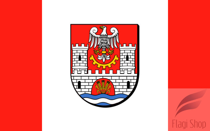 800px-POL_powiat_zawierciański_flag.svg.png