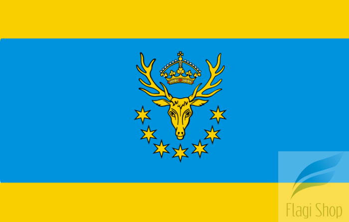 750px-POL_powiat_kozienicki_flag.svg.png