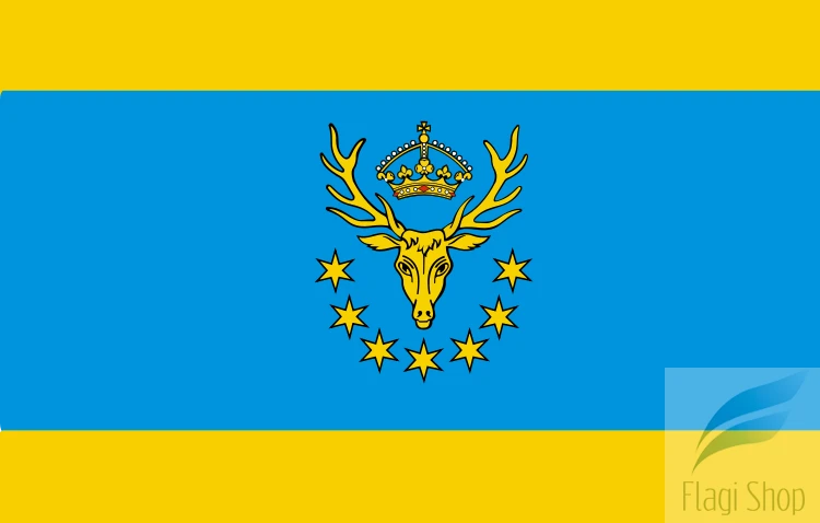 750px-POL_powiat_kozienicki_flag.svg.png