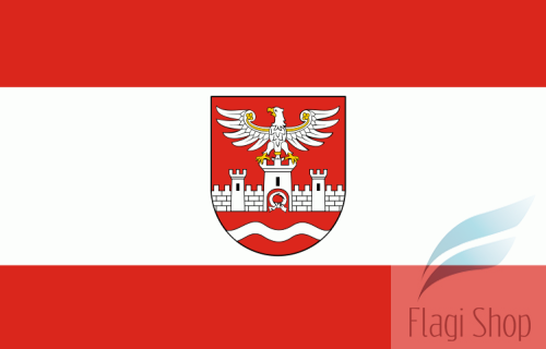 750px-POL_powiat_nowodworski_flag.svg.png