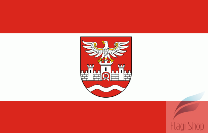 750px-POL_powiat_nowodworski_flag.svg.png