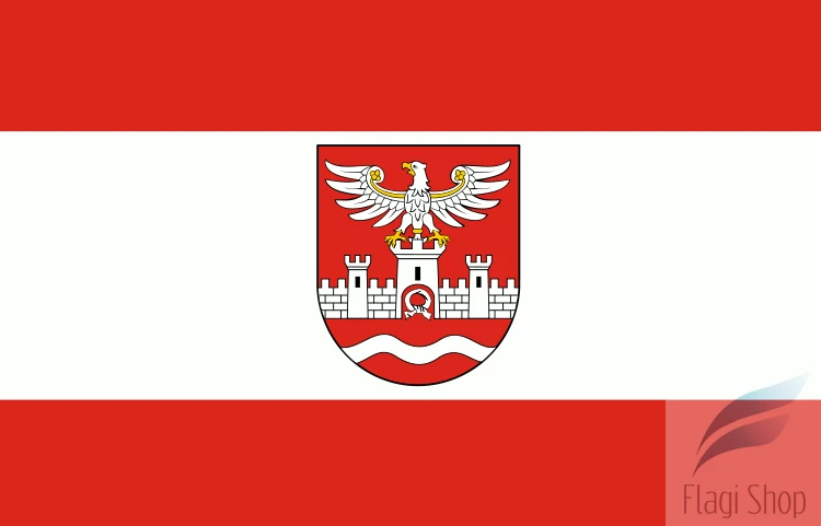 750px-POL_powiat_nowodworski_flag.svg.png