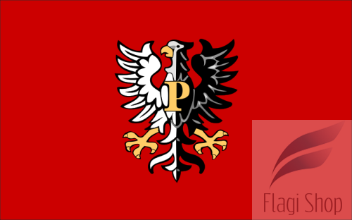 800px-POL_powiat_płocki_flag.svg.png