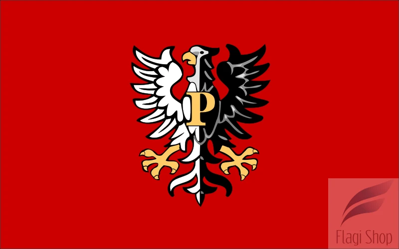 800px-POL_powiat_płocki_flag.svg.png