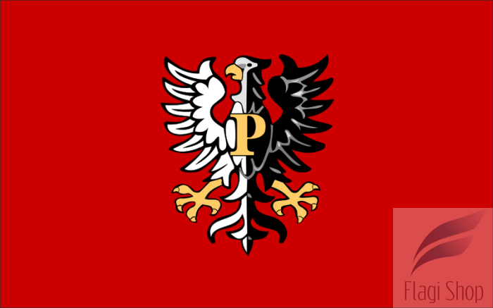 800px-POL_powiat_płocki_flag.svg.png