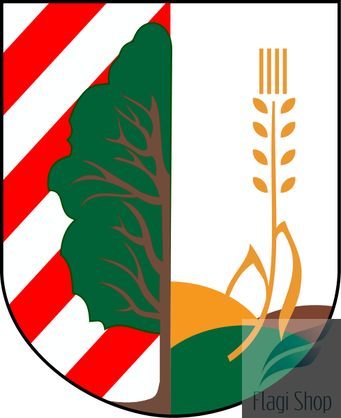 489px-POL_gmina_Baruchowo_COA.svg.png