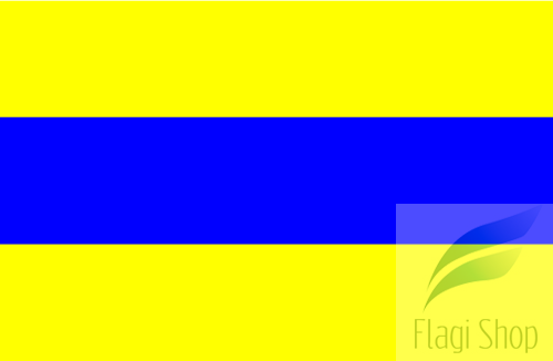 POL_gmina_Bargłów_Kościelny_flag.svg.png