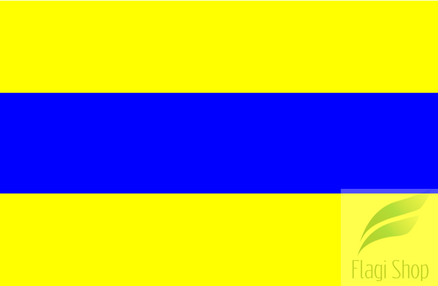 POL_gmina_Bargłów_Kościelny_flag.svg.png