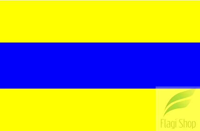 POL_gmina_Bargłów_Kościelny_flag.svg.png