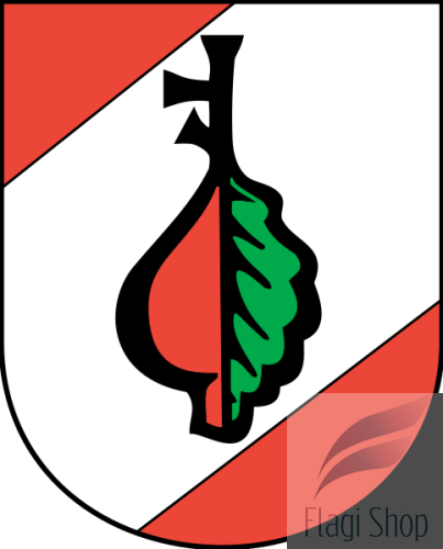 483px-POL_gmina_Dubicze_Cerkiewne_COA.svg.png