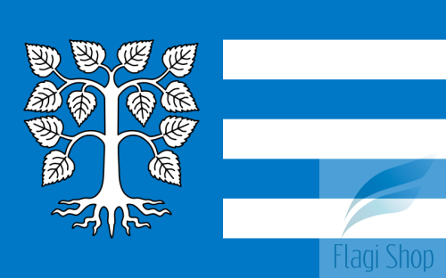 POL_gmina_Brzeżno_flag.svg.png