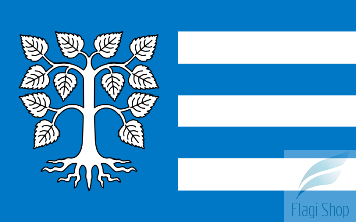 POL_gmina_Brzeżno_flag.svg.png