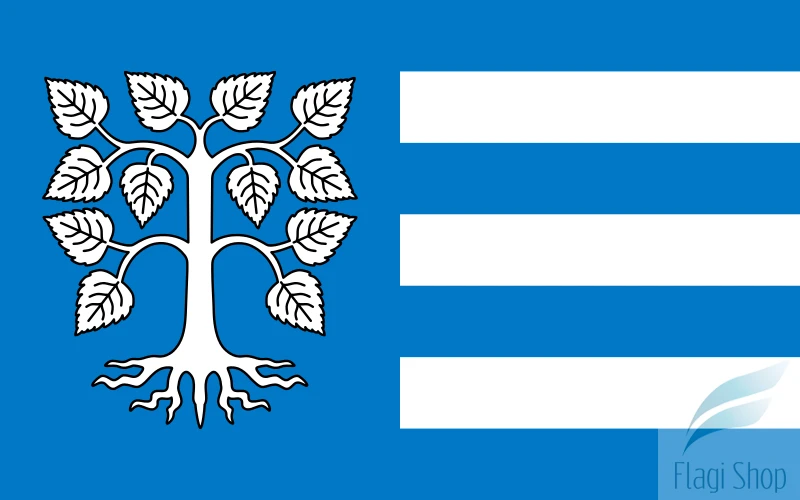 POL_gmina_Brzeżno_flag.svg.png