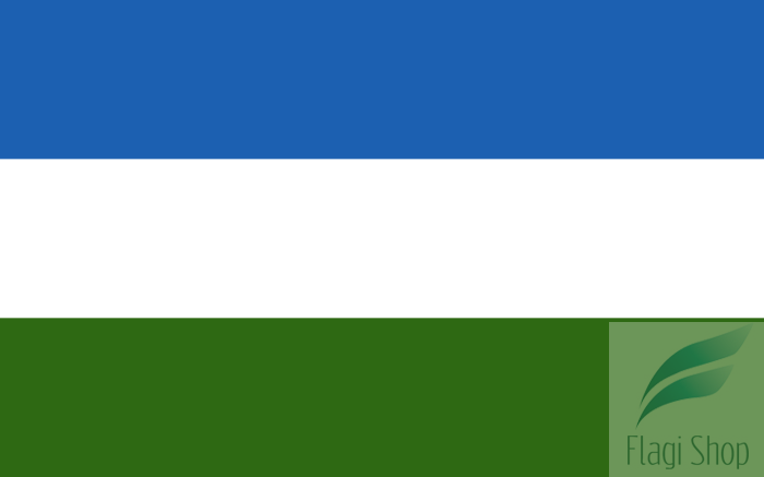 POL_Mirsk_flag.svg.png