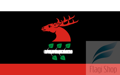 POL_gmina_Brzozie_flag.svg.png