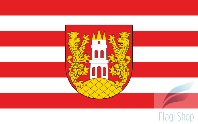 640px-POL_gmina_Janowiec_flag.svg.png