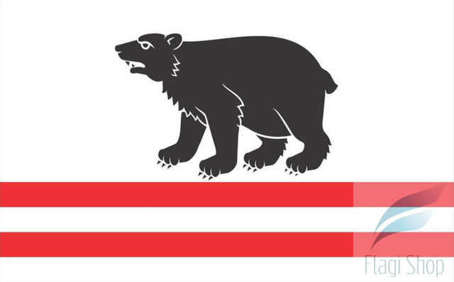 POL_gmina_Kłoczew_flag.png