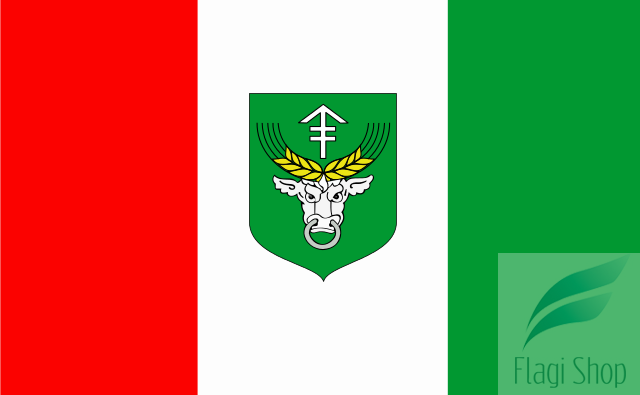 POL_gmina_Rudniki_flag.svg.png
