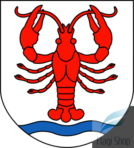POL_Wohyń_COA.svg.png