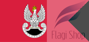 Flaga Wojsk Specjalnych 150x75 cm (na zamówienie)