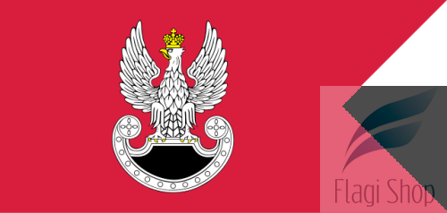 640px-PL_special_forces_flag_IIIRP.svg.png