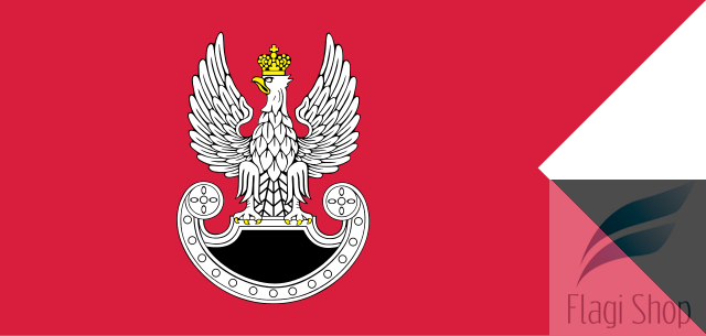 640px-PL_special_forces_flag_IIIRP.svg.png