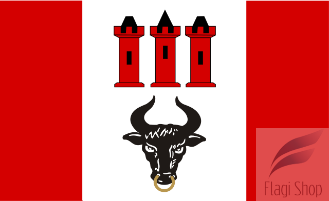 640px-POL_gmina_Bedlno_flag.svg.png