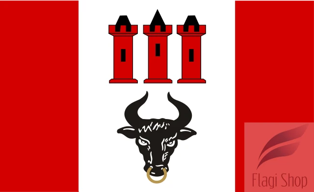 640px-POL_gmina_Bedlno_flag.svg.png