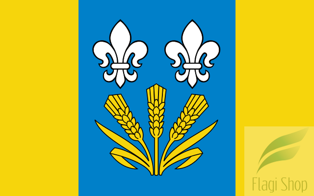 POL_gmina_Chąśno_flag.svg.png