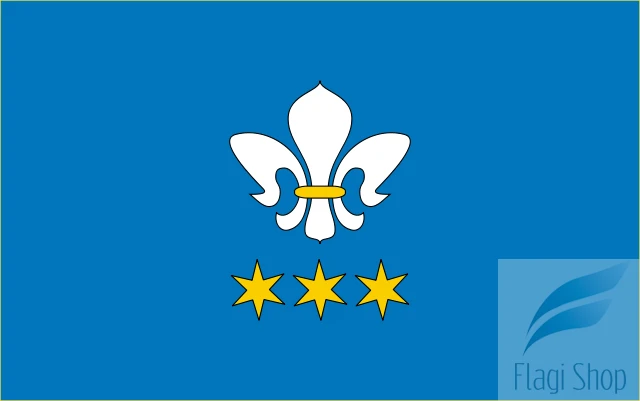 640px-POL_gmina_Domaniewice_flag.svg.png