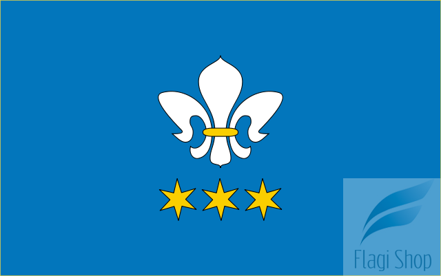 640px-POL_gmina_Domaniewice_flag.svg.png