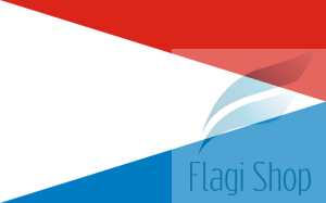 Flaga gminy Drużbice - na zamówienie 110x70  Drużbic     