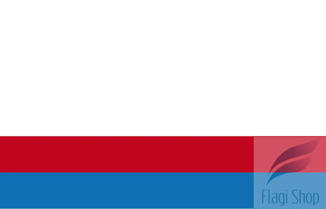 POL_gmina_Goszczanów_flag.svg.png