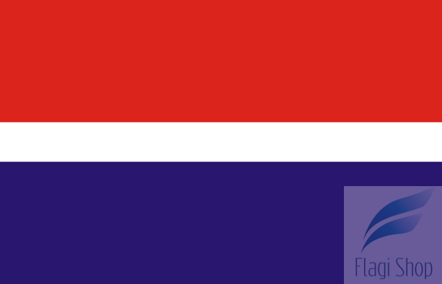 640px-POL_gmina_Parzęczew_flag.svg.png