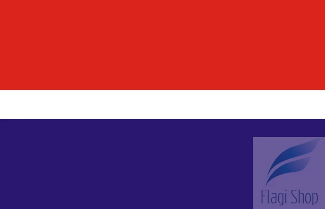 640px-POL_gmina_Parzęczew_flag.svg.png