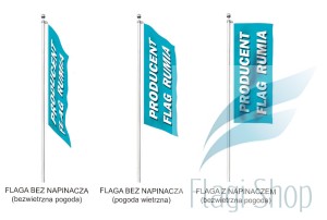 rodzaje flag 1 kopia.jpg 1.jpg