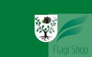 Flaga gminy Kruszyna - na zamówienie 110x70 Kruszyny  