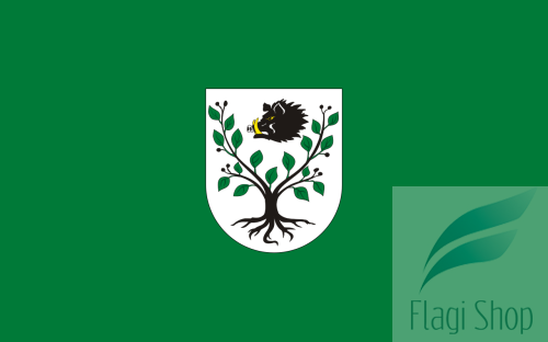 POL_gmina_Kruszyna_flag.svg.png