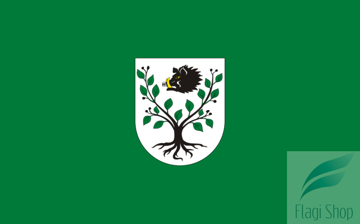 POL_gmina_Kruszyna_flag.svg.png