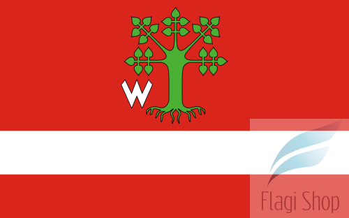 POL_gmina_Lipie_flag.svg.png
