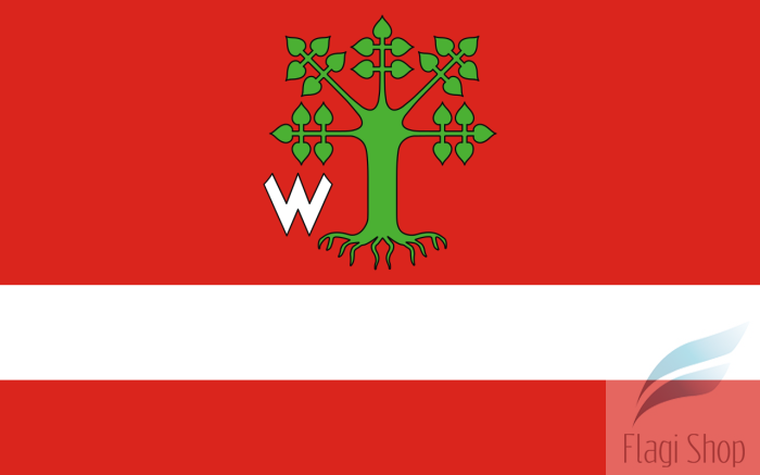 POL_gmina_Lipie_flag.svg.png