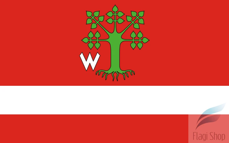 POL_gmina_Lipie_flag.svg.png