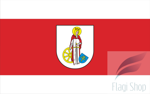 POL_gmina_Miedźno_flag.png
