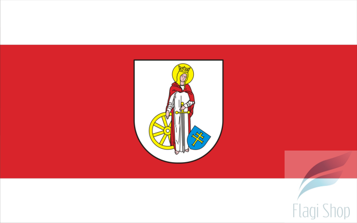 POL_gmina_Miedźno_flag.png