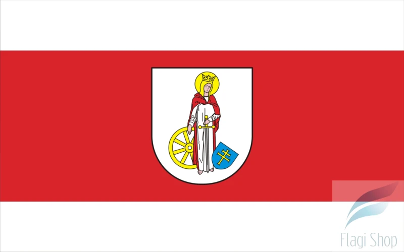 POL_gmina_Miedźno_flag.png