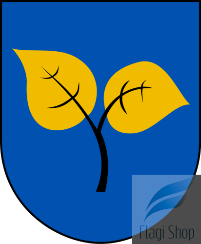 POL_gmina_Wyry_COA.svg.png